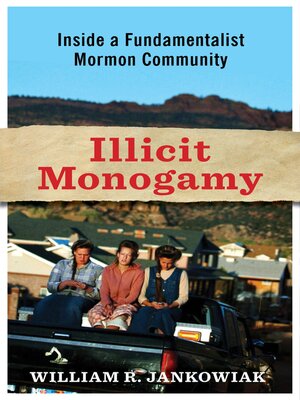 cover image of Illicit Monogamy